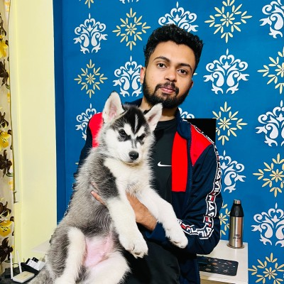 Shubham D avatar image