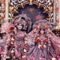 Nitu Chawada avatar image