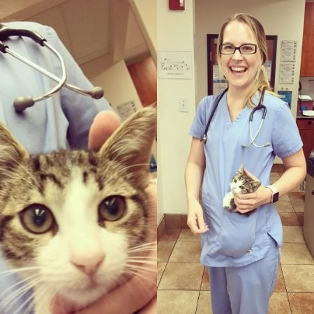 Sara Salomon avatar image