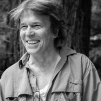 Magnus Toren avatar image