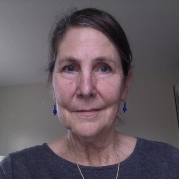 Bridgit Wolf avatar image