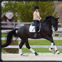 Lisa-Claire Sigal avatar image