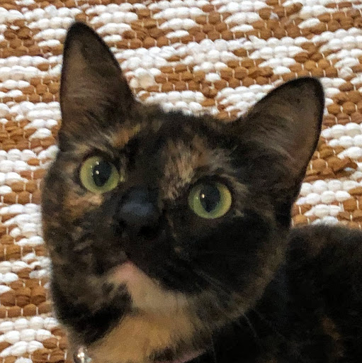 Rachel Cochran avatar image