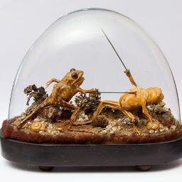 Theo Stanton avatar image