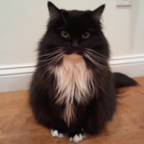 Cole Latimer avatar image