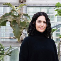 Amy Coleman avatar image