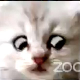 Scott Paradis avatar image