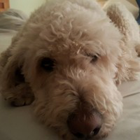 John Markell avatar image