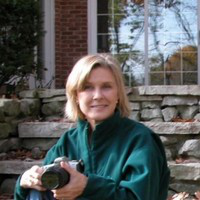 Diane Schwartz avatar image