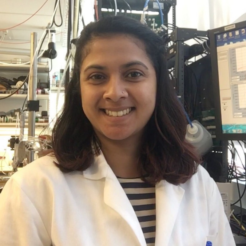 Aniketa Shinde, PhD avatar image