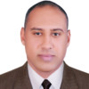 Hassan Mostafa avatar image