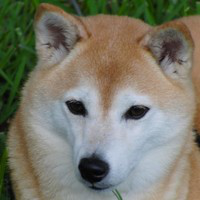 Leonid Moroz avatar image