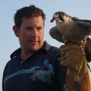 Stephen Wilson avatar image