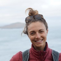 Jocelyn Lyle avatar image