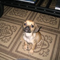 Kristina Blair avatar image