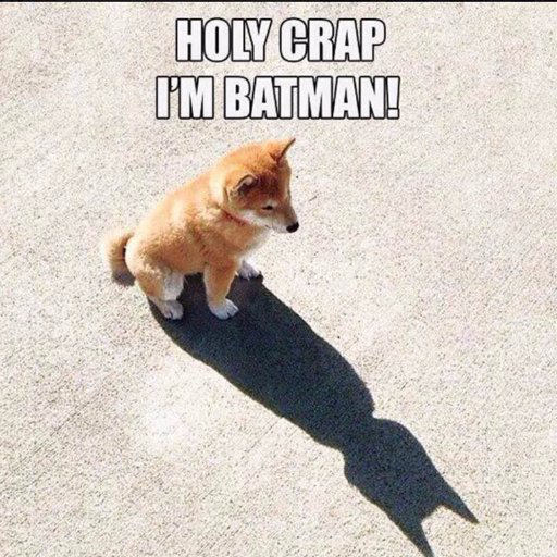 Sarah Gibson avatar image