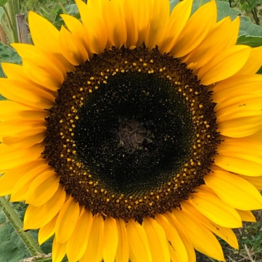 Beverley Randell avatar image