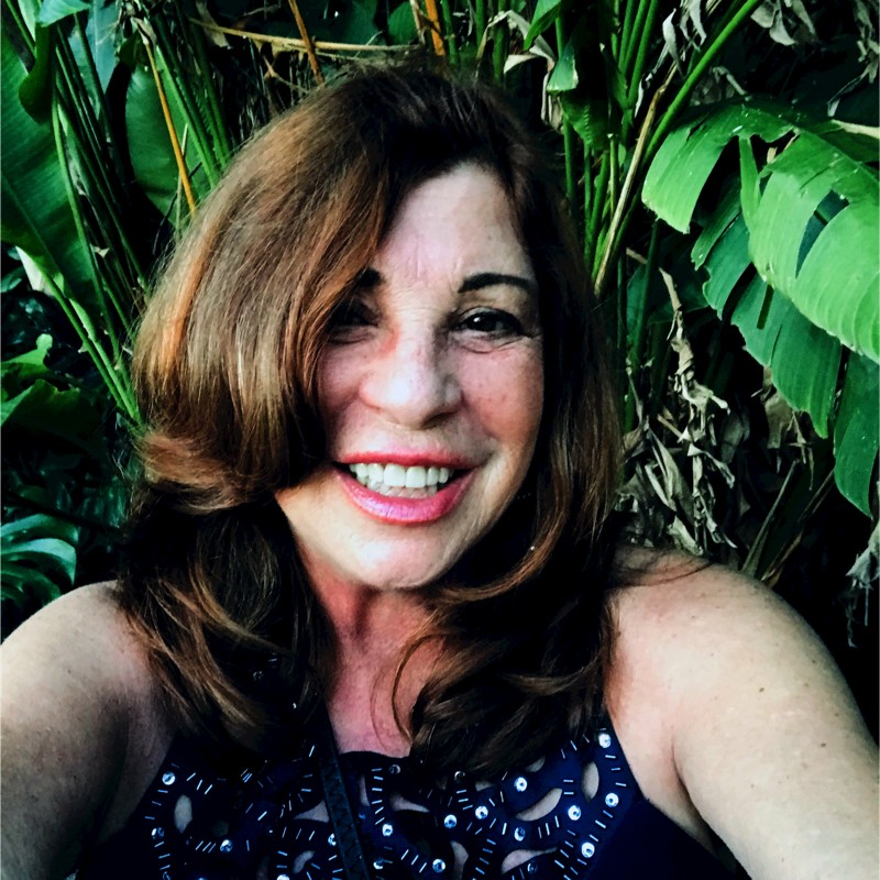 Judi Wilcox avatar image