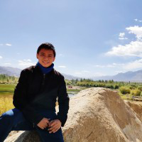 Nguyễn Long avatar image