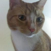 Linda Norris avatar image