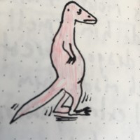 Vincent Nijman avatar image