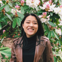 Netty Lim avatar image