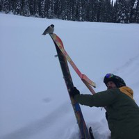 Anthony Flaherty avatar image