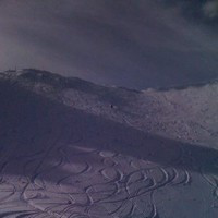 Mitzi Haslinger avatar image