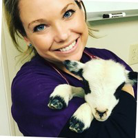 Cedar Yardumian avatar image