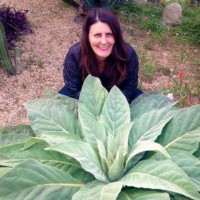 Jill Cloutier avatar image