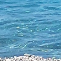 Maria Strano avatar image