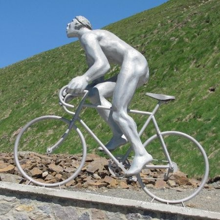 Rosemary Parkin avatar image