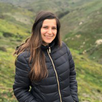 Laura Novo avatar image