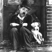 James Ducker avatar image