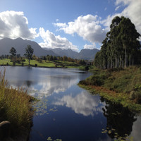 Frank du Toit avatar image