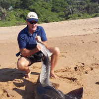 Andrew Knox avatar image