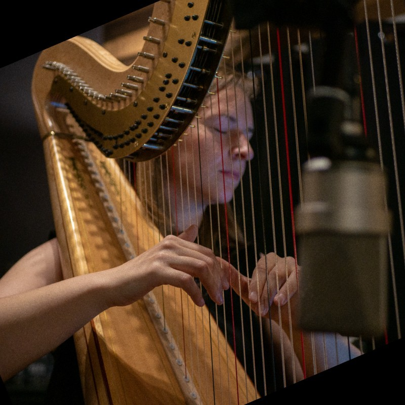 Liann Cline avatar image