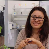 Gozde Buyukacaroglu avatar image