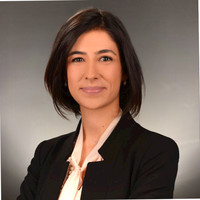 Gozde Demir avatar image