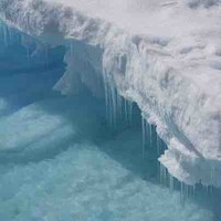 Ahlam Al Awadhi avatar image