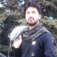 Sumit Mishra avatar image