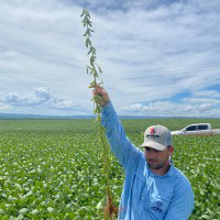 Fabricio Rodrigues avatar image