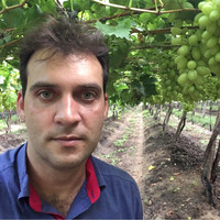 Rafael Goldner avatar image