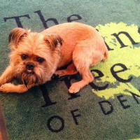 Adam Curtis avatar image