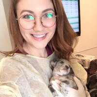 Toni Gengl avatar image