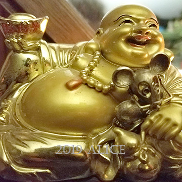 Alice Potteiger avatar image