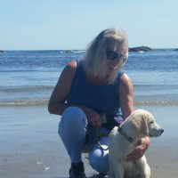 Kathy Shaps avatar image