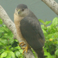 Michael Heyeck avatar image