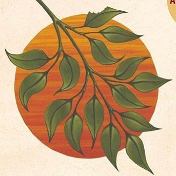 Randy Clemens avatar image