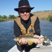 Tom Stine avatar image